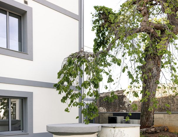 Dolmen arquitectos